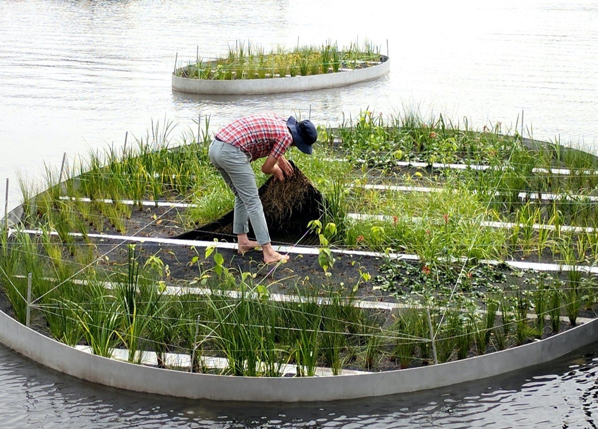 Photo of ecologist Keith Bowers working on an ecosystem restoration project