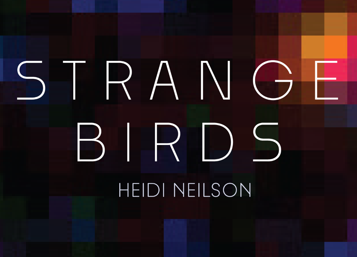 Strange Birds - Heidi Neilson