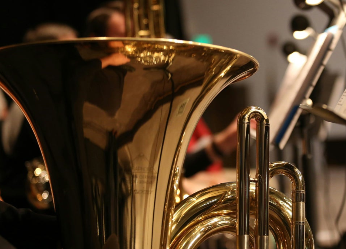Horn and brass instruments.