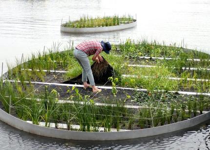 Photo of ecologist Keith Bowers working on an ecosystem restoration project