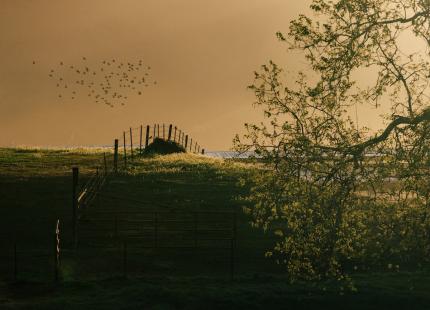 Serene campus photo