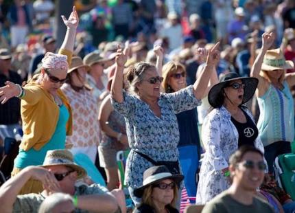 Crowd shot of Blues Festival attendees