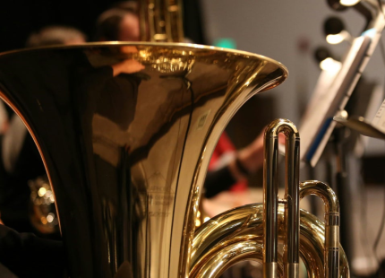 Horn and brass instruments.