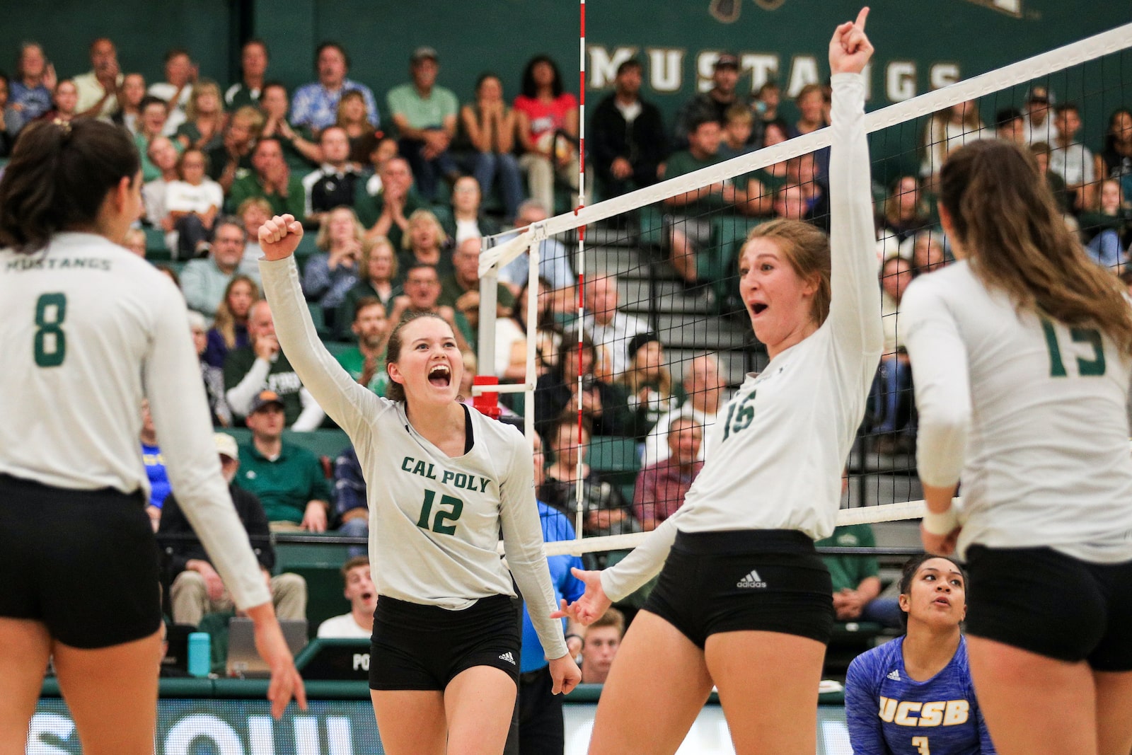 Four members of Cal Poly Women's Volleyball celebrate on the court after scoring an important point.