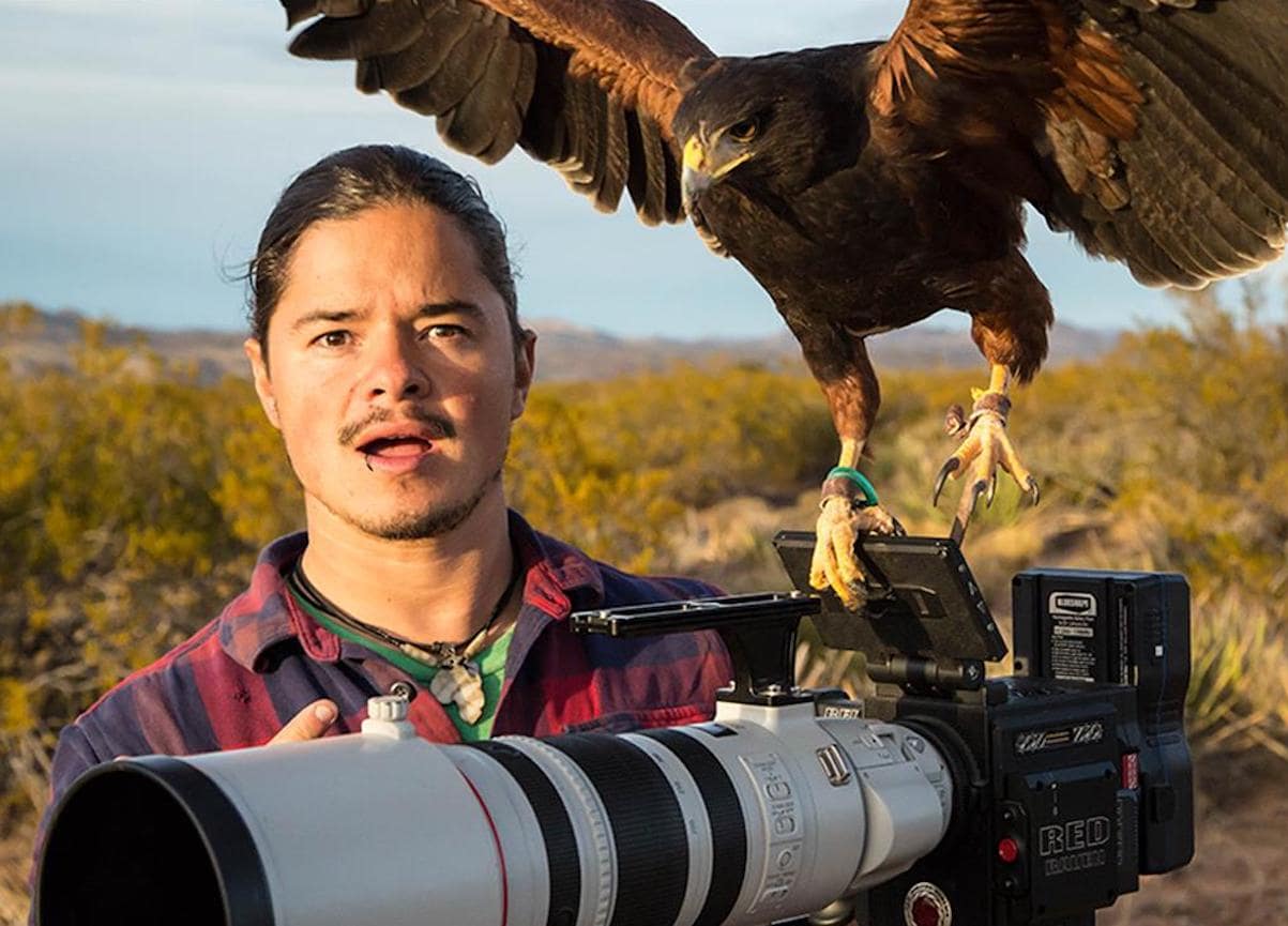 Photographer Filipe DeAndrade calls a hawk to his shoulder 